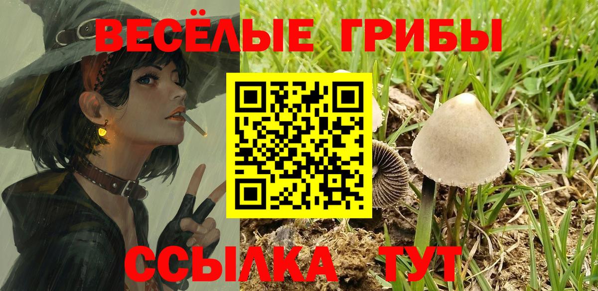 Галлюциногенные грибы GOLDEN TEACHER Белогорск