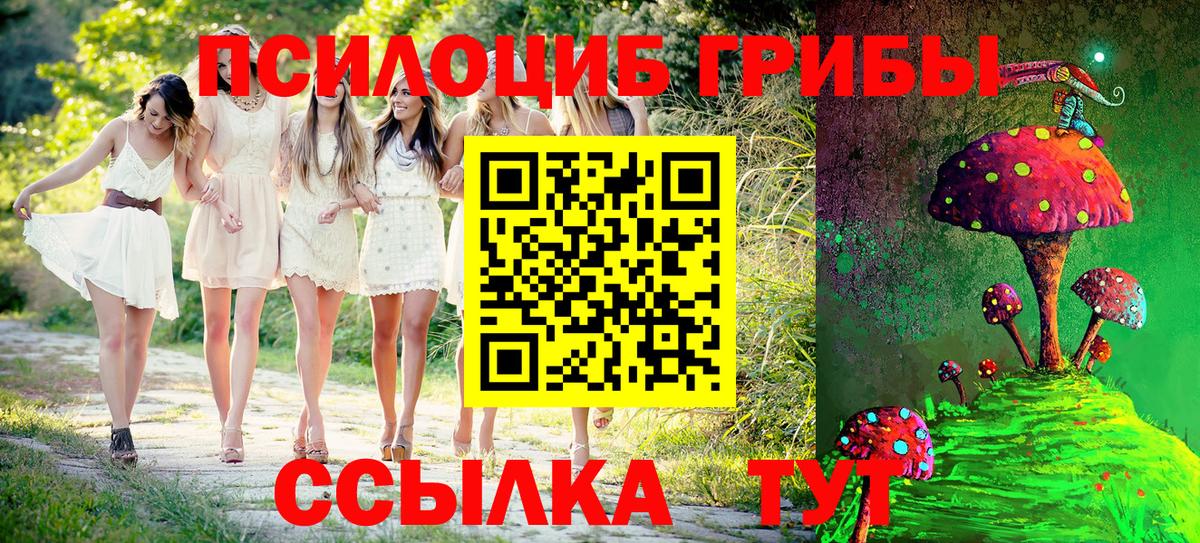 Псилоцибиновые грибы Psilocybe  Галлюциногенные грибы ЛСД  Белогорск  Вход с VPN 
